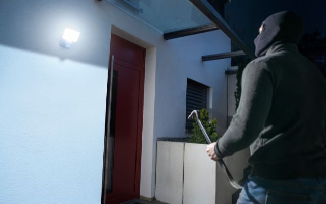 Lampe Murale Extérieure avec Détecteur de Présence PIR Mini Villa